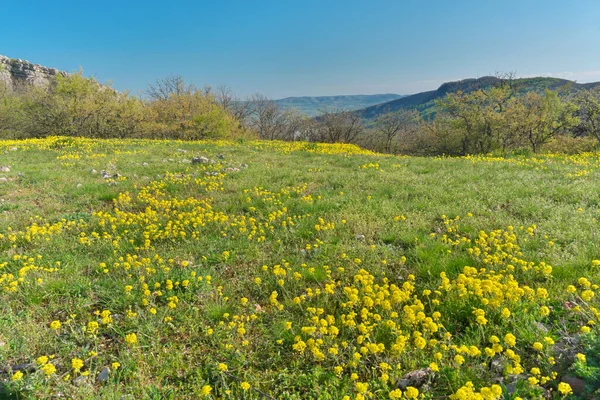 Dağda güneşli bir sabah. Güzel manzara kompozisyonu.