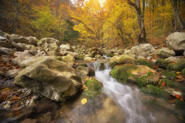 秋の木と川の流れ 自然の組成 — ストック写真