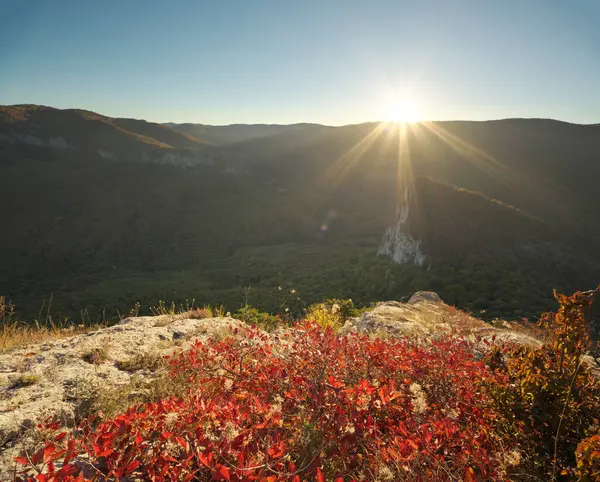 Mountain landscape during sunrise. Autumn red bush on the edge. Composition of nature.
