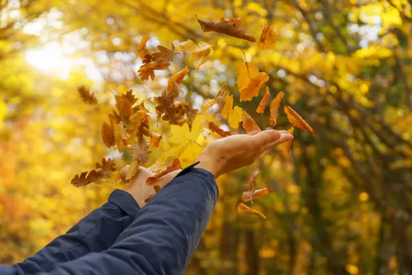 女性の手は秋の葉をキャッチしようとします エモーショナルシーン ロイヤリティフリーのストック写真