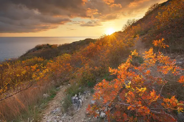 Прекрасна Весняна Природа Морський Пейзаж Заході Сонця Склад Природи Стокова Картинка