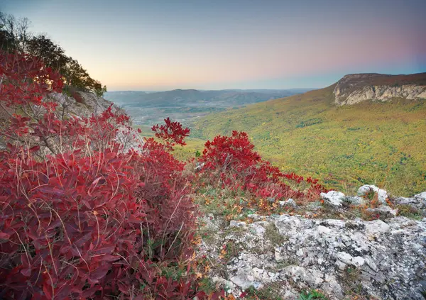 日の出の間の山の風景 秋の赤い茂みがエッジに 自然の構成 ロイヤリティフリーのストック写真