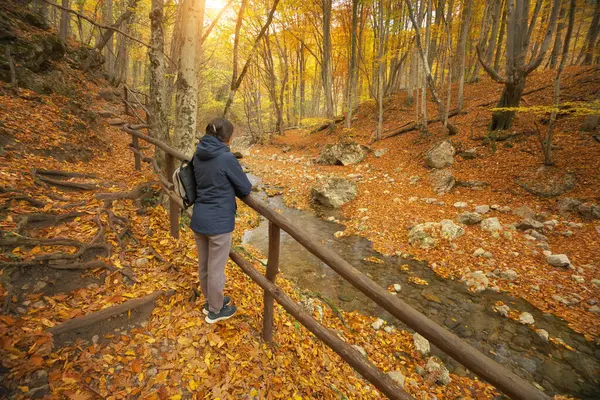 Kvinnan Promenerar Mosterskogen Människor Och Natur Stockbild