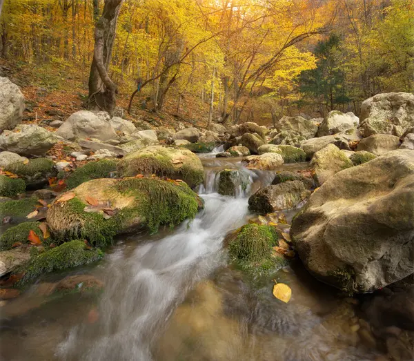 Podzimní Dřevo Toku Řeky Složení Přírody — Stock fotografie