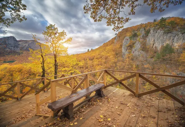 秋の渓谷と崖の上のベンチ 自然のリラックスシーン ストック写真