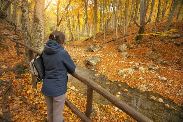 Kvinnan Promenerar Mosterskogen Människor Och Natur Stockfoto