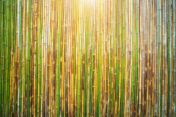 Бамбуковая Стена Фоновая Текстура Природы Лицензионные Стоковые Фото