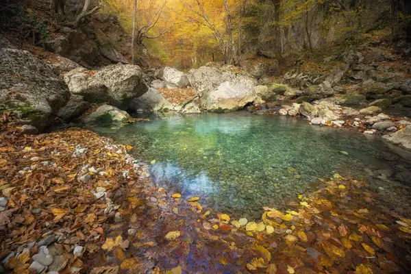 Mokre Liście Stawie Jesienny Krajobraz Przyrody Obrazek Stockowy