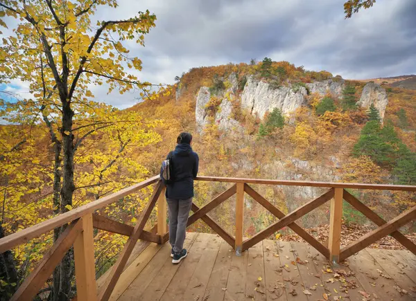 Junge Frau Blickt Auf Herbstlichen Canyon Natur Und Menschen lizenzfreie Stockbilder