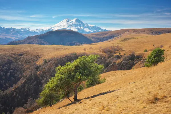 Paisaje Montaña Elbrus Pino Otoño Composición Natural Fotos de stock libres de derechos