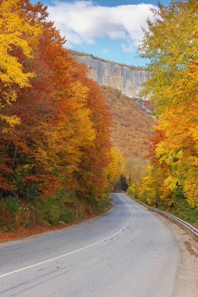 Dağda Sonbahar Yolu Güzel Doğa Manzarası Stok Resim