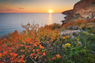 Güzel bahar doğası ve deniz manzarası. Kompozisyonu gevşet.