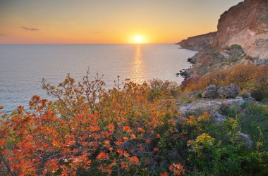 Güzel bahar doğası ve deniz manzarası. Kompozisyonu gevşet.