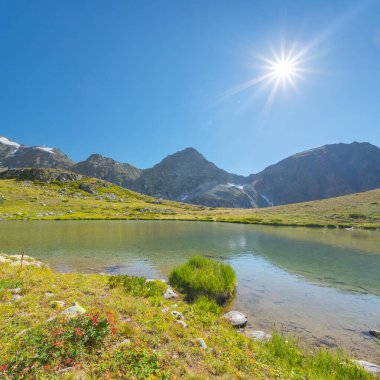 Dağ gölünün güzel yaz manzarası. Gündüzleri doğanın manzarası.