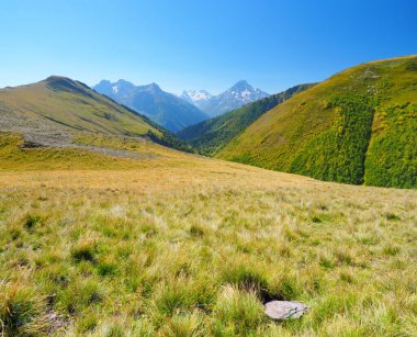 Gündüzleri dağ manzarası. Doğanın bileşimi.