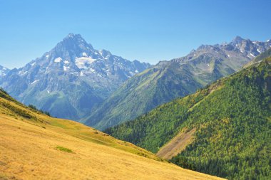 Gündüzleri dağ manzarası. Doğanın bileşimi.