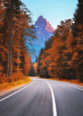 Dağda sonbahar yolu. Güzel doğa manzarası.