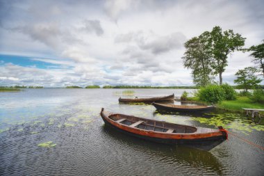 Güneşli bir günde geniş bir nehrin nehir kıyısında eski ahşap kayıklar. Doğa ve ulaşım sahnesi.