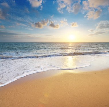 Gün batımında kumsalda. Doğa bileşimi.