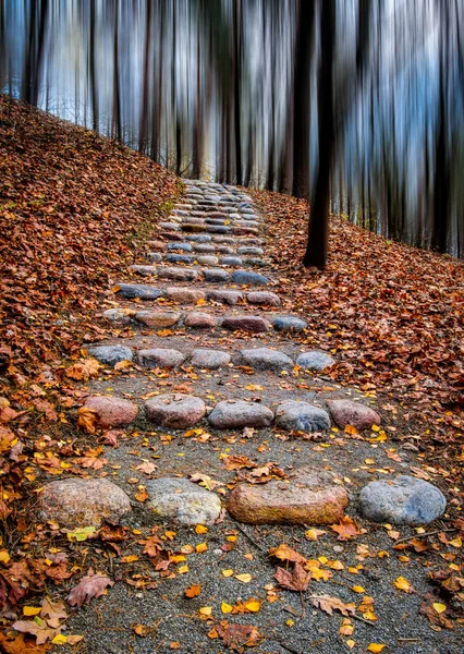Mystická Stezka Podzimním Parku Říjnové Poledne — Stock fotografie