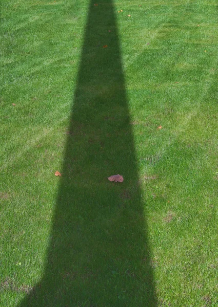 緑の芝生 2つの部分に影で分け — ストック写真