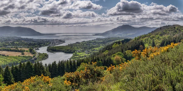 View Flagstaff View Point Newry River Flows Carlingford Bay Which — Stock Photo, Image