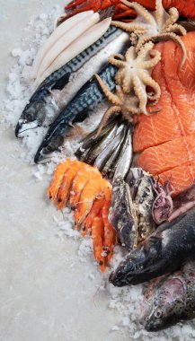 Deniz ürünleri. Gri arka planda taze balık, karides, istiridye ve ahtapot. Üst görünüm.