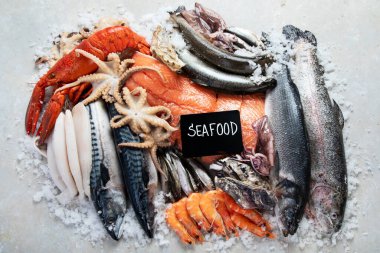 Deniz ürünleri. Gri arka planda taze balık, karides, istiridye ve ahtapot. Üst görünüm.