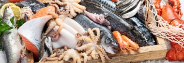 Deniz ürünleri. Gri arka planda taze balık, karides, istiridye ve ahtapot. Üst Manzara. Panorama.