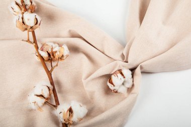 Kuru pamuk çiçek dalı, bej keten peçete üst görünümü bej arka planda fotokopi alanı ile. Marka şablonu, nötr renkler.