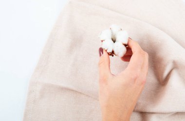 Kuru pamuk çiçek dalı, bej keten peçete üst görünümü bej arka planda fotokopi alanı ile. Marka şablonu, nötr renkler.