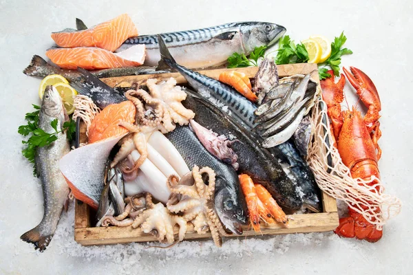 Meeresfrüchte Frischer Fisch Garnelen Austern Und Kraken Vor Grauem Hintergrund — Stockfoto