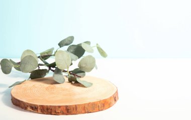 Konsept sahne gösterisi, ürün, promosyon satışı, sunum, güzellik kozmetiği. Tahta stüdyo boş..