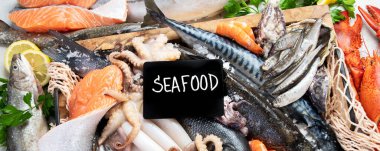 Deniz ürünleri. Gri arka planda taze balık, karides, istiridye ve ahtapot. Üst Manzara. Panorama.