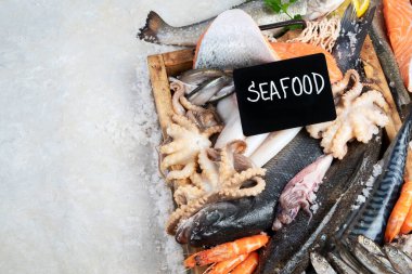 Deniz ürünleri. Gri arka planda taze balık, karides, istiridye ve ahtapot. Üst görünüm.