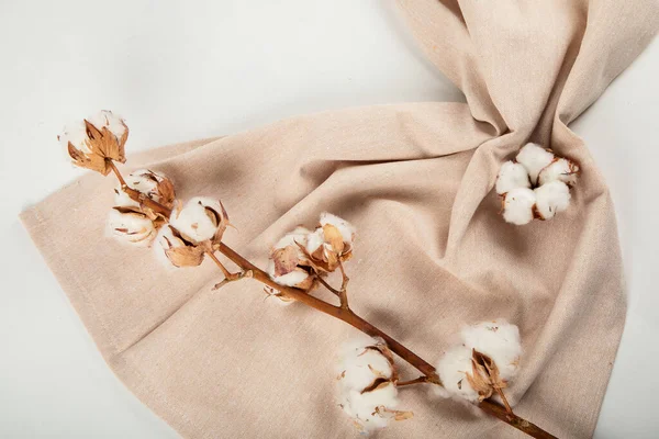 Dry Cotton Flowers Branch Beige Linen Napkin Top View Beige — Stock Photo, Image