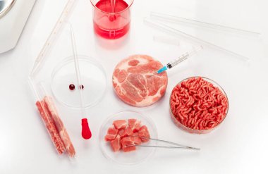 Laboratuvarda kültür dolu et kabı. Temiz et kültürü kavramı