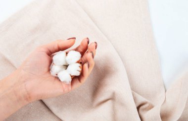 Kuru pamuk çiçek dalı, bej keten peçete üst görünümü bej arka planda fotokopi alanı ile. Marka şablonu, nötr renkler.