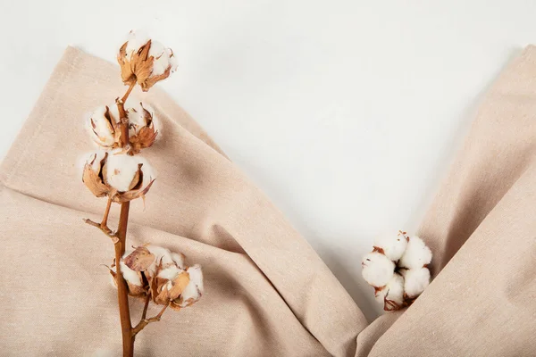 Dry Cotton Flowers Branch Beige Linen Napkin Top View Beige — Stock Photo, Image