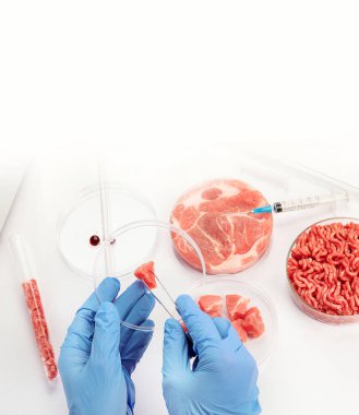 Laboratuvarda kültür dolu et kabı. Temiz et kültürü kavramı