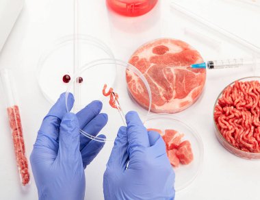 Laboratuvarda kültür dolu et kabı. Temiz et kültürü kavramı