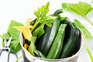 Composition with zucchini on neutral background. Popular component of healthy diets. copy space