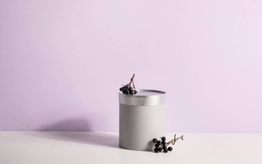 Ürünler için podyumlar veya kaideler mor arkaplanda gösterilir. Ürün sunumu için bir podyum sahnesi, 3D görüntüleme.