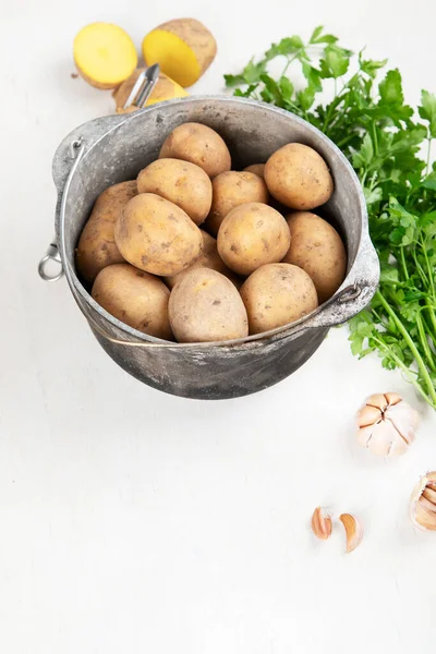 Ωμή Πατατοτροφή Φρέσκες Πατάτες Μια Παλιά Κατσαρόλα Λευκό Φόντο Στο — Φωτογραφία Αρχείου
