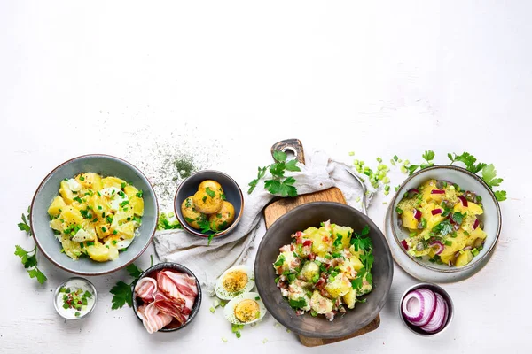 Set Met Verschillende Aardappelsalades Traditionele Duitse Amerikaanse Keuken Bovenaanzicht Kopieer — Stockfoto