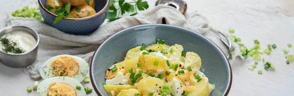 色拉土豆 绿色洋葱和蛋黄酱在一个白色背景的盘子上 顶部视图 — 图库照片