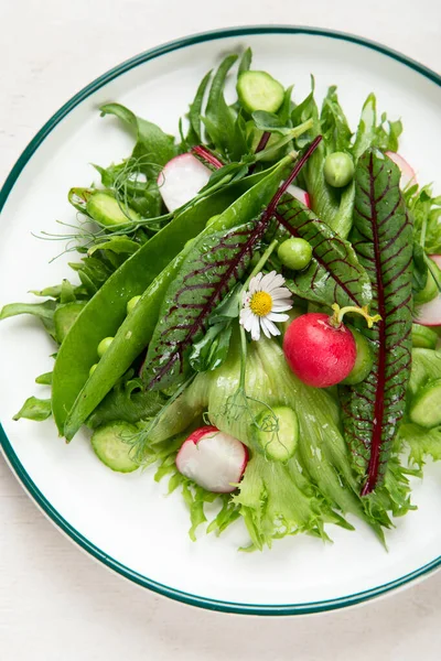 Salada Primavera Vitamina Salada Verduras Frescas Ervas Conceito Alimentação Saudável — Fotografia de Stock