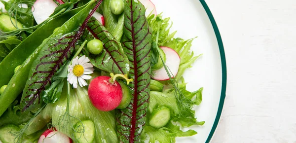 Salada Primavera Vitamina Salada Verduras Frescas Ervas Conceito Alimentação Saudável — Fotografia de Stock