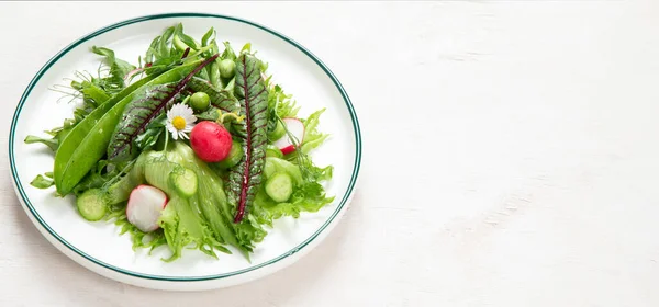 Vitamin Spring Salad Salad Fresh Vegetables Herbs Concept Healthy Eating — Stock Photo, Image