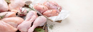 Çeşitli çiğ tavuk eti porsiyonları. Panorama, bayrak